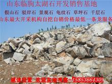 臨朐假山石銷售處