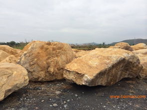 供應(yīng)福建省黃蠟石 風(fēng)景石 園林石 刻字石 太湖石,供應(yīng)福建省黃蠟石 風(fēng)景石 園林石 刻字石 太湖石生產(chǎn)廠家,供應(yīng)福建省黃蠟石 風(fēng)景石 園林石 刻字石 太湖石價(jià)格