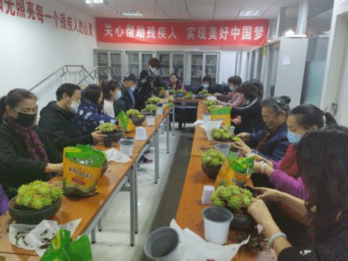 相聚家園,共話(huà)未來(lái)